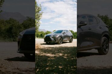 There's having a perfect day, and thereʼs having a perfect day with the NX.