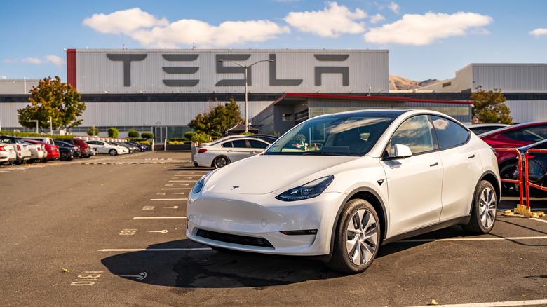 A white Tesla Model Y displayed in front of a Tesla manufacturing factory.