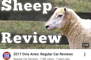 If you haven't seen Mr. Regular review a sheep, you should