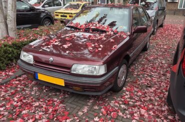 What are the perfect wheels under this renault 21?