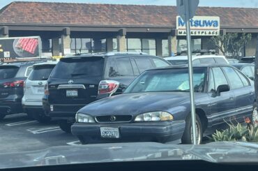 Whatever this thing is…. Saw it today