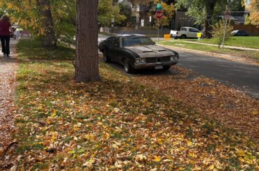 442 Parked in my neighborhood