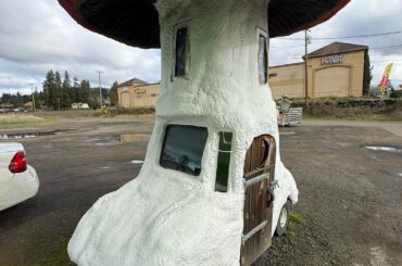 Mushroom Car