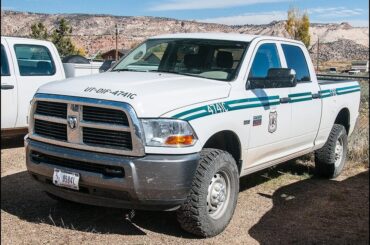 Why does the forest service primarily buy dodges?