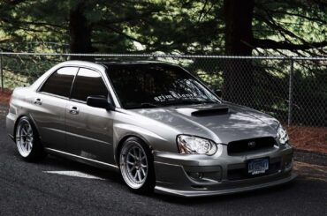 took her out for a photoshoot