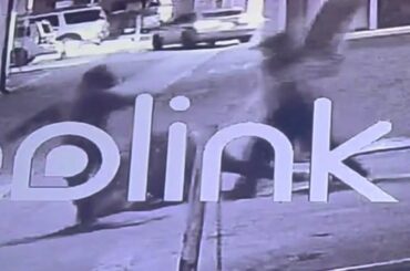 Hermosa Beach officials hold public forum after man attacked by teens on e-bikes