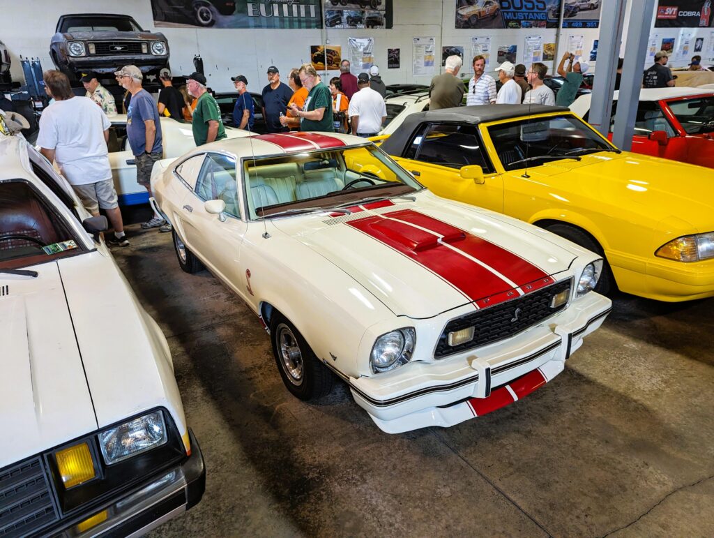 More Mustangs for discussion