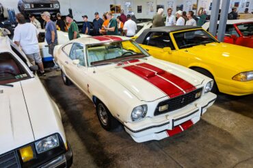 More Mustangs for discussion