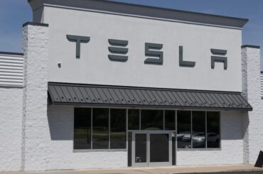 'The whole idea rests on the flawed analogy'