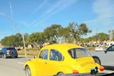 Spotted this very clean [VW Beetle] in Sarasota Florida. Note the vent window in use.