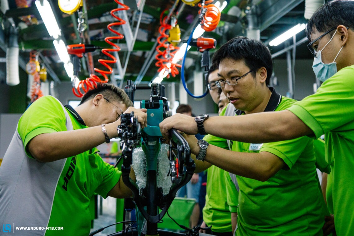 Brand Identity END 057 WEB Res 8471 1140x760