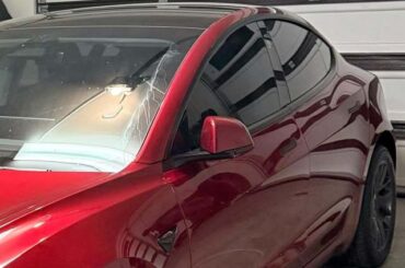 'I just joined the club'