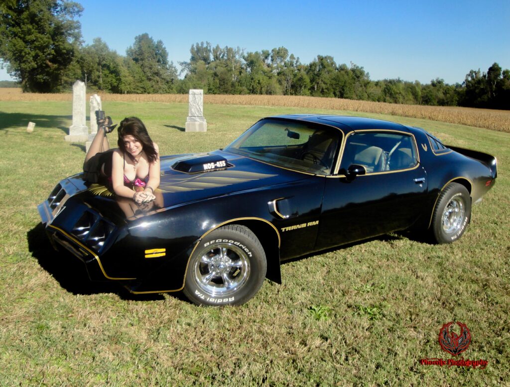 1981 Pontiac Firebird Trans Am Pinup