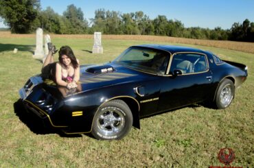 1981 Pontiac Firebird Trans Am Pinup