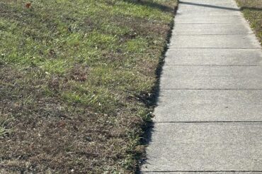 I also saw a GEO [prism]today