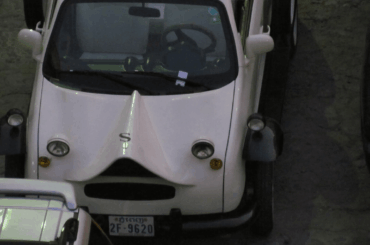 Any one know what this is?