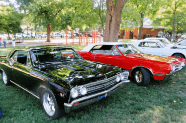 Saturday in the Park