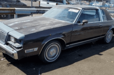 POV: it's 1999 and you've recently been released from jail and are looking for a new car since you're old one got impounded. Your budget is $1500. What do you pick?