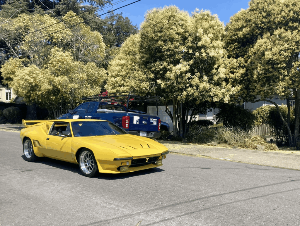 Not sure what this is but damn it was gorgeous driving down the street! [unknown]