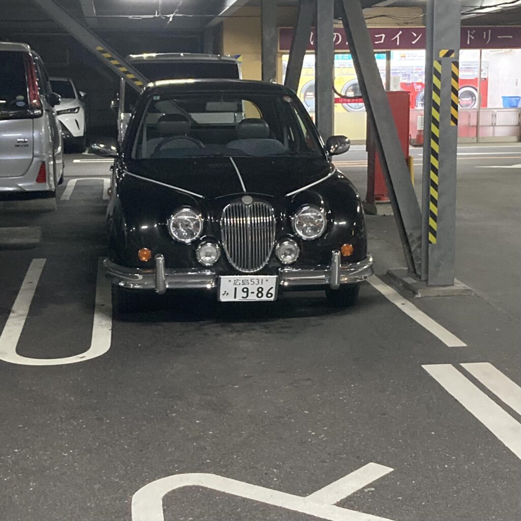 [unknown] found in hot springs park. guessing thats mitsuoka some maybe.