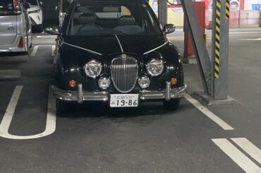 [unknown] found in hot springs park. guessing thats mitsuoka some maybe.