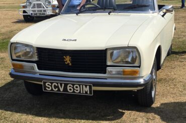 Love the 304 . Cute face