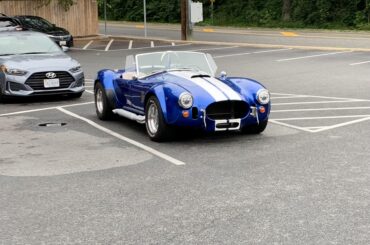 [Shelby Cobra] Same guy has a ‘65 Vette as well