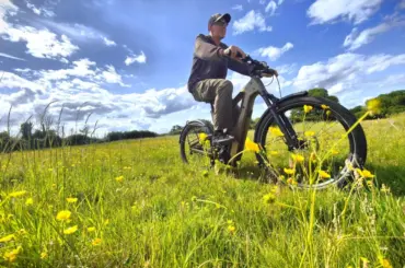 Editor's choice awards: The best electric bikes to buy in 2026