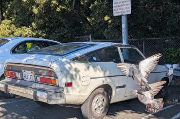 1976 Nissan B210, the official car of?