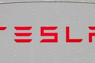 Tesla, Elon Musk End Investor Autopilot Accusations on Appeal