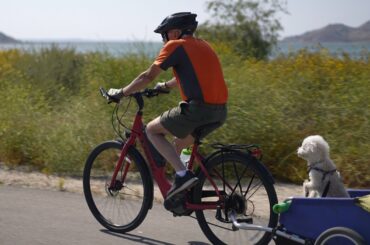Illinois Lawmakers Consider 15 mph Bike, E-Bike Speed Limit
