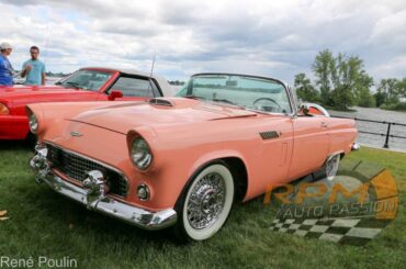 Ford Thunderbird 1956