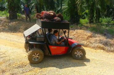 Fin Komodo buggy carrying palm oil fruit on its roof. Indonesian market only "Utilitarian Terrain Vehicle"