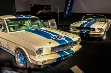 A Pair of Shelby Mustang GT350