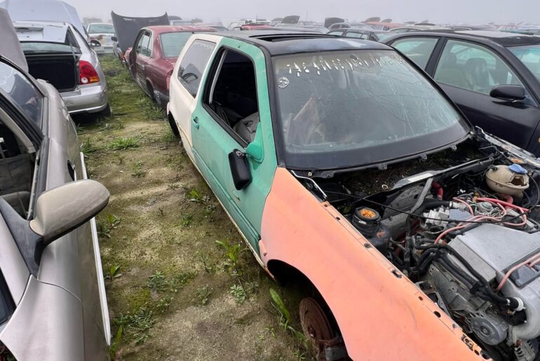 Potential [VW harlequin] spotted in junk yard