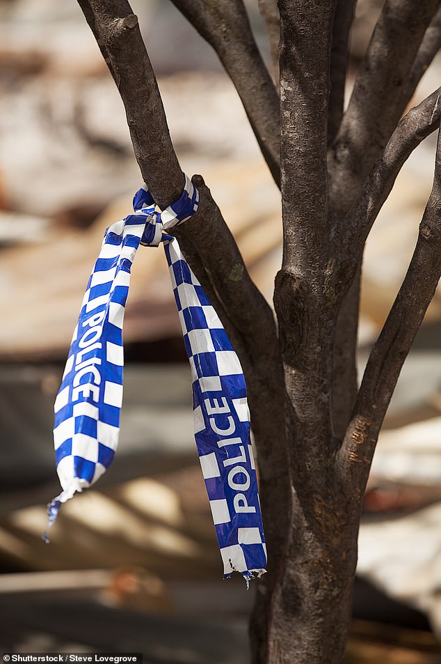 The 2025 road toll was 44 in Tasmania, the highest since 50 lives were lost in 2022 (stock)