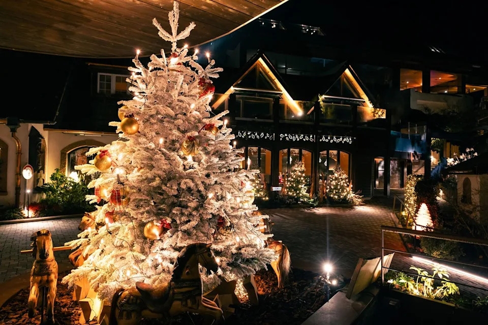 The final stop on our trip was the the Cheneaudiere hotel and spa in Alsace (Chery)