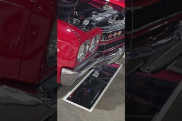 Electric Car or Jail? Which do you choose?