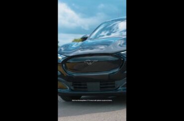 New year, same Mustang® spirit.