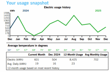 The $6,000 Savings Strategy: How We Slashed Our Fuel and Utility Bills with Solar and EVs