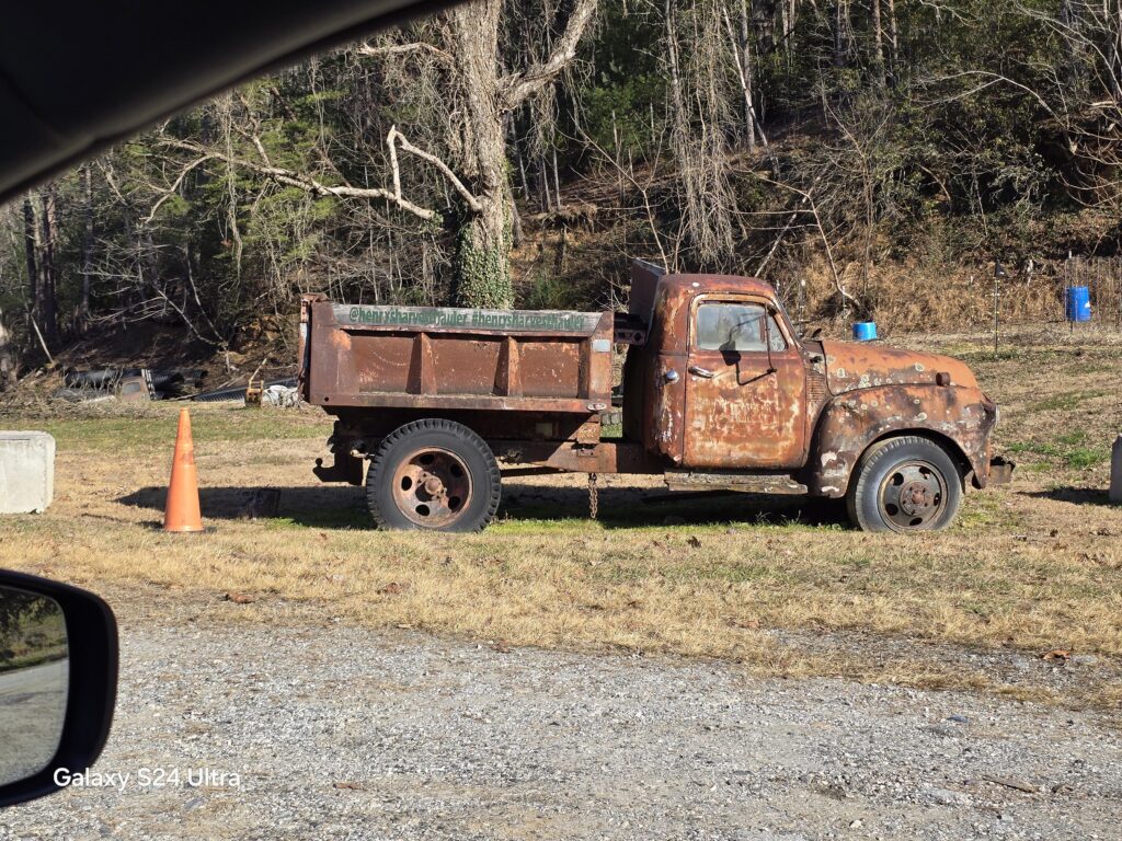 Spotted in Georgia oc