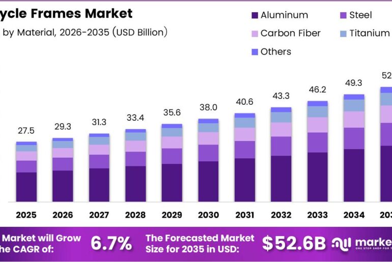 Bicycle Frames Market Size Analysis Bar Graph
