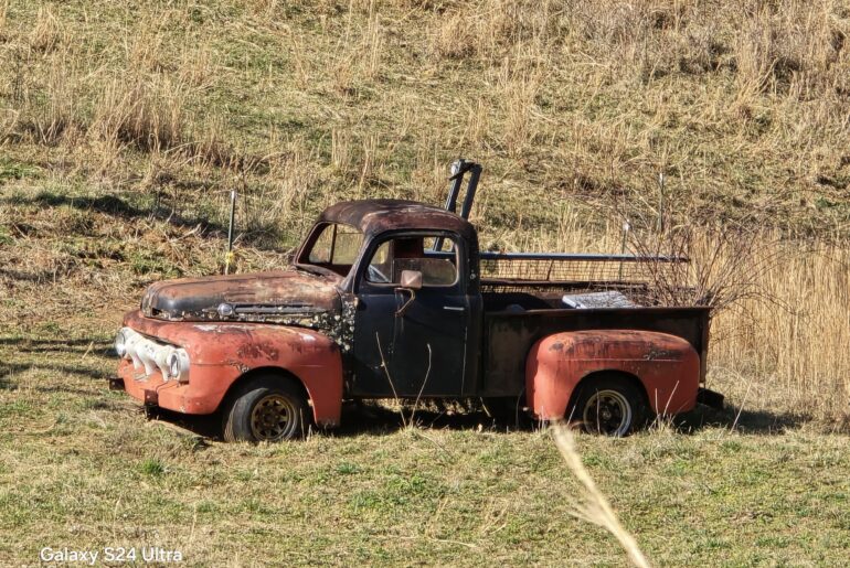 Spotted in a field in NC