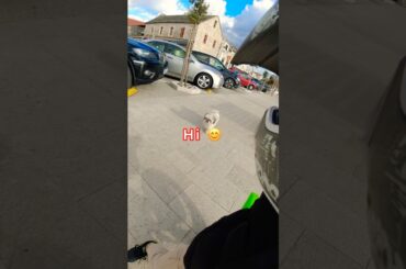 Electric Motorbike #shorts #electricmotorbike