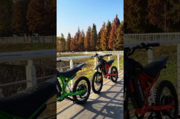 BGSPRO Is Here | Highlights at a Glance