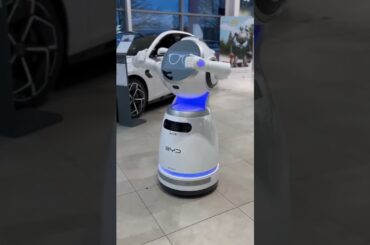 How BYD Became the TOP EV Seller in 2026