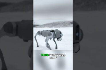 Lynk & Co 10MP  Brutal Winter Tests with Robot Dog!