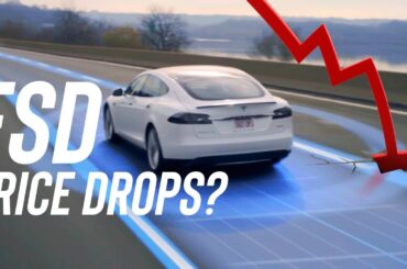 Autopilot Died, But FSD Price Drop Is Inevitable...