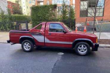 [Dodge Shelby Dakota] in Brooklyn