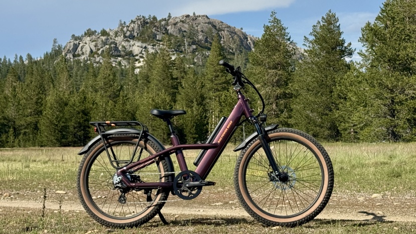 electric bike - the radster trail is downright enjoyable to pedal.